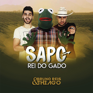 Sapo Rei do Gado