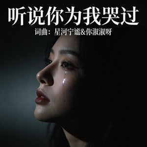 听说你为我哭过