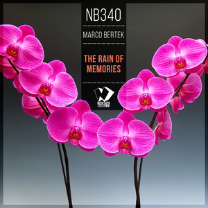 The Rain of Memories (Original Mix)