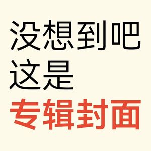 葱烧鸡腿肉-------翻自SH_chilLyounG