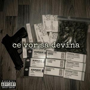 ce vor sa devina