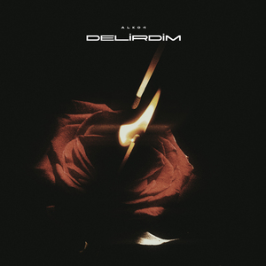 Delirdim