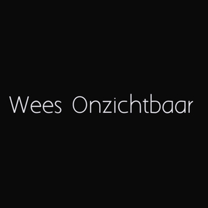 Theme of Wees Onzichtbaar (feat. Emine Bostancı)