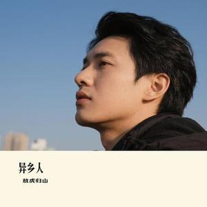 异乡人(Cover 张磊)