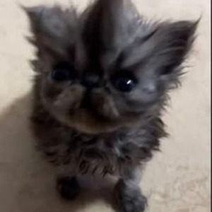 A Lonely Night (slowed)