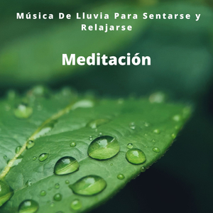 Música Para No Preocuparse