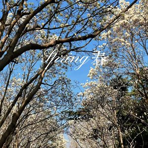 春日妄想录【温柔版】