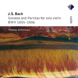 Sonata for Solo Violin No. 1 in G Minor, BWV 1001:II. Fuga. Allegro