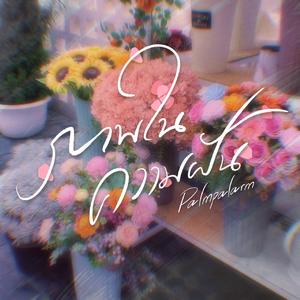 ภาพในความฝัน (Moonlight)