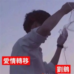别把我弄丢了