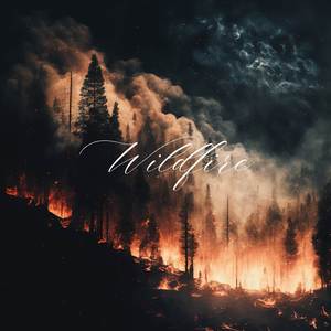 Wildfire (Instrumental)