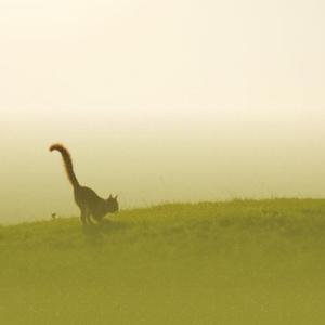 귀여움이 통통통