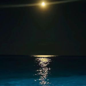 仰望夜空-陈子渝