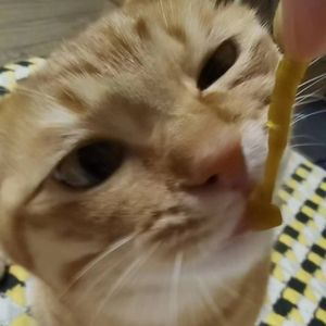 2018年4月某天睡了个好觉所以写下了当时的感觉