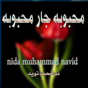 Pa Sir Da Yao Kahol Yo