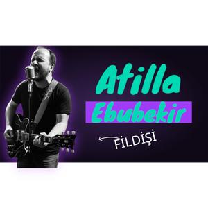 FİLDİŞİ