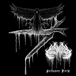 Entropy (feat. Alex Pearce & Andrew Kim)