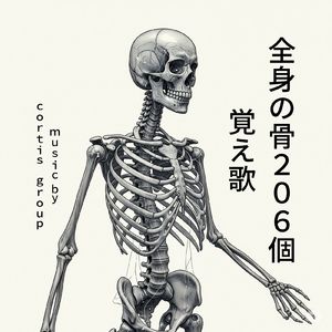 全身の骨206個覚え歌