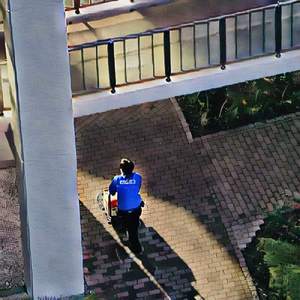 Ice Crystal Paraselene