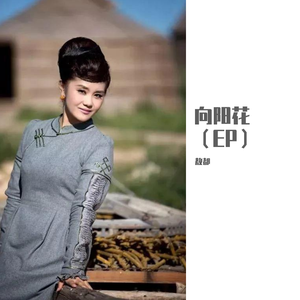 向阳花 伴奏