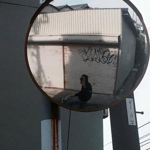 Freeway Freak Accident