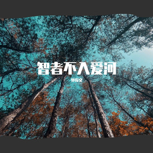 智者不入爱河