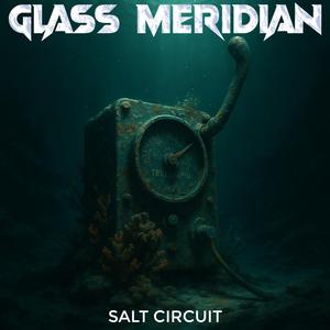 Salinity Feedback Loop