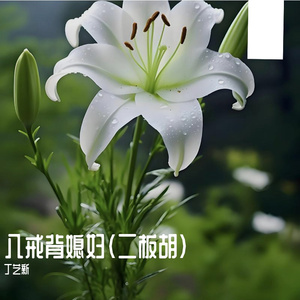 八戒背媳妇(二板胡)