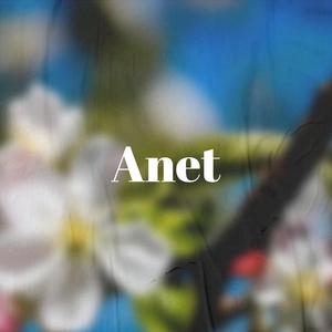 Anet