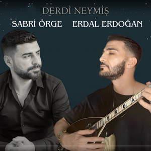 Derdi Neymiş