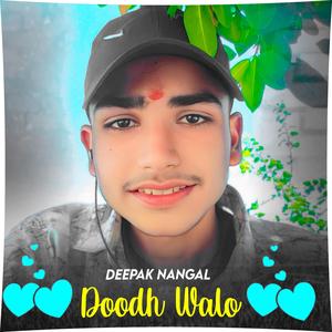 Dhoodh Walo