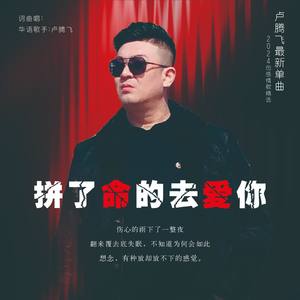 拼了命的去爱你