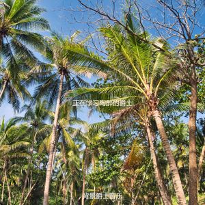 适合办公事务爵士