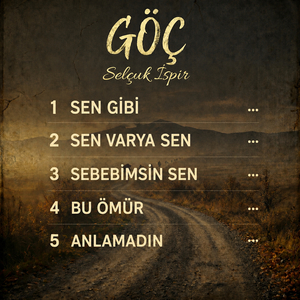 Anlamadın