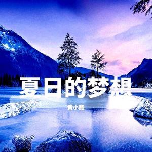 夏日的梦想