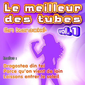 Dragostea Din Tei (Karaoke With Backing Vocals) (Originally Performed By O-Zone)