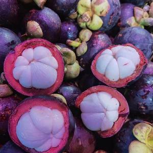 得不到你-隔离老樊