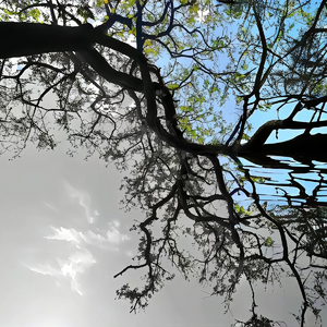 Love&（赤原 remix）