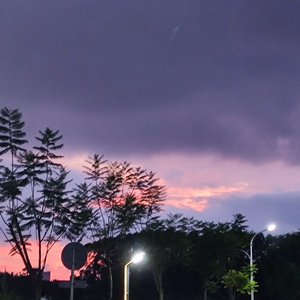 浪漫爱