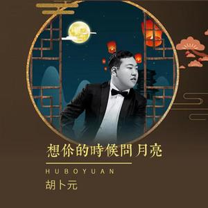 想你的时候问月亮（伴奏）