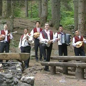 Ставай Донке