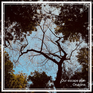 ブルーダイバー