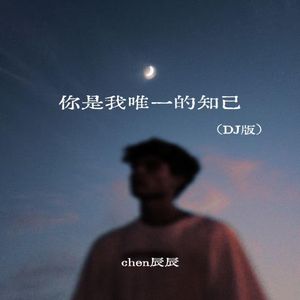 你是我唯一的知己（DJ版）