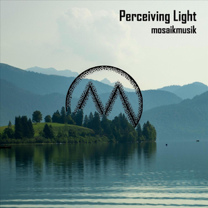 Perceiving Light