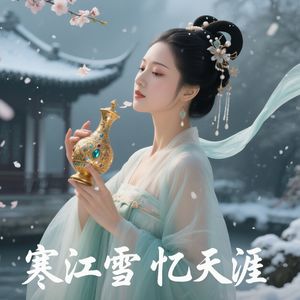 寒江雪忆天涯