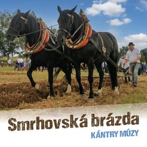 Smrhovská brázda