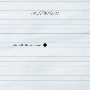 Seni Çok Pis Unutucam