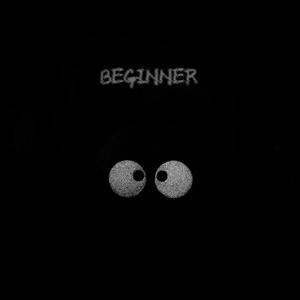 Beginner