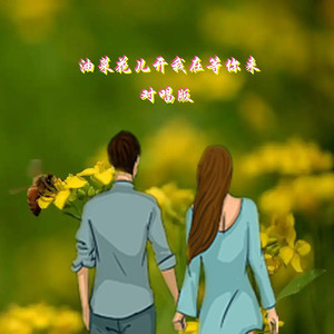 油菜花儿开我在等你来 伴奏