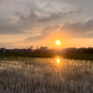 愛の形～アカペラ～